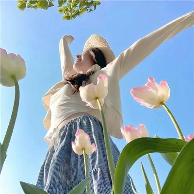 布莱泽奥特曼日语