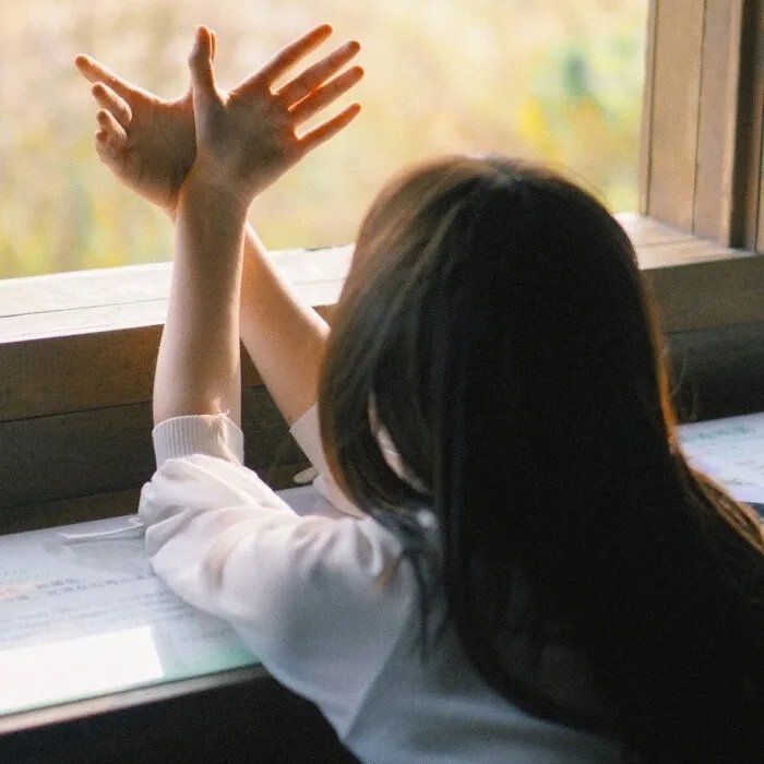 我私人的爱达荷