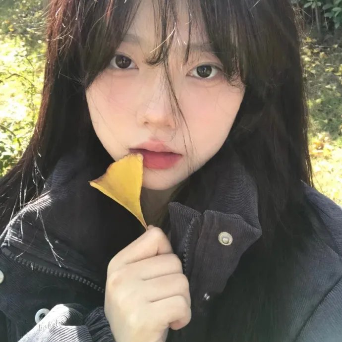 新福星小子第二季